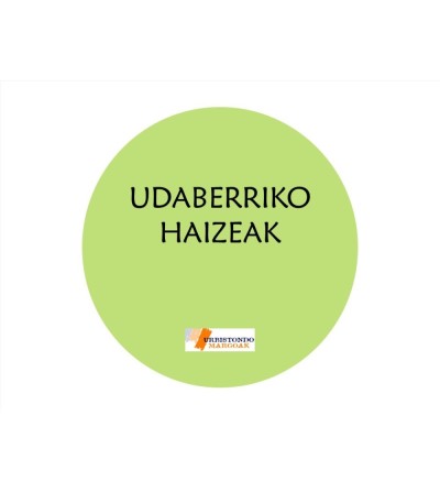 UDABERRIKO HAIZEAK chalk
